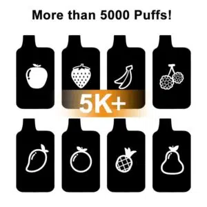 5000+ Puffs Mystery Disposable Vape