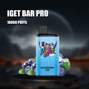 Blueberry Ice