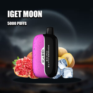 Pomegranate Kiwi Ice